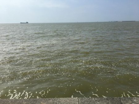 台風後ちょっと渋い